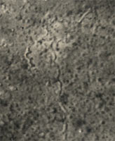 D&eacute;tail de la Vue a&eacute;rienne de la destruction en 3 phase d'une tranch&eacute;e fin ao&ucirc;t 1917