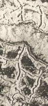 Photo a&eacute;rienne du Four de Paris d&eacute;tail des tranch&eacute;es  et crat&egrave;res de mines