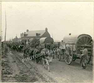 Photo d'un convoi de chevaux
    tirant des chariots qui croise un train d'ânes pendant la guerre de 1914-1918 à Ham dans la Somme