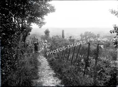 Un sentier à Samois en photo ancienne