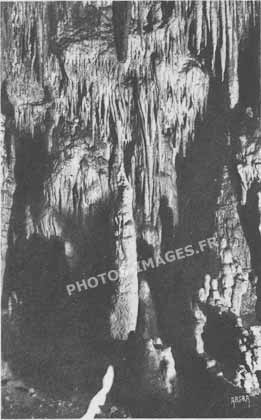 Carte postale ancienne de 1945 des grottes d'Eyzie 