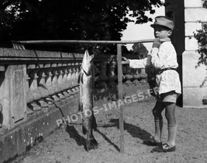 Le brochet pris dans la Suine, photo ancienne de 1928