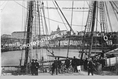 Ancienne photo du déchargement de la morue à Granville en 1900