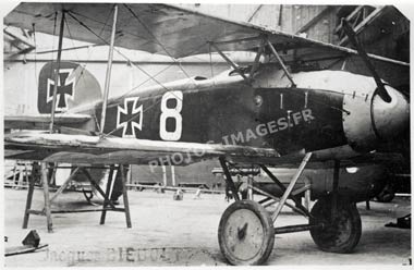 Photo d'un avion allemend Albatros 8 dans un hangar en 14-18, WW1