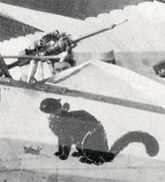 Photo du chat symbole du s/lt Pelletier d'Oisy sur son avion en 14-18,WW1