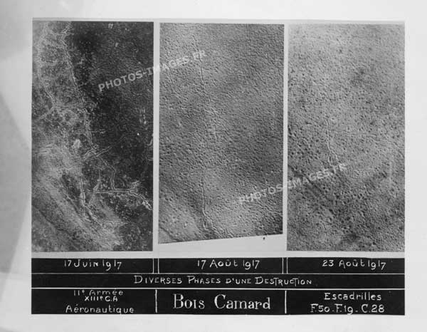 Le Bois Camard, 3 phases d'une destruction totale