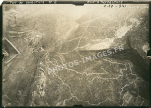 Photo aérienne du fort de Douaumont et de l'est de la forêt d'Hardaumont pendant la guerre de 1914-1918 photo verticale ouvrage bois Hardaumont