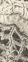 Photo aérienne du Four de Paris détail des tranchées et cratères de mines