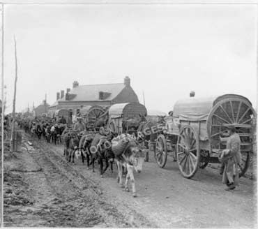 Photo d'un convoi de chevaux  tirant des chariots qui croise un train d'ânes pendant la guerre de 1914-1918 ww1 en Ham dans la Somme